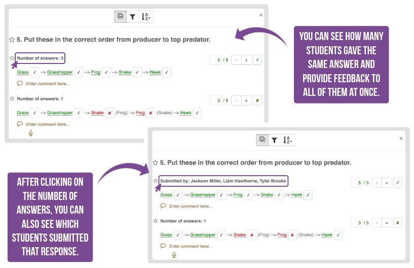 Grading dashboard view showing grouped student answers and feedback options.