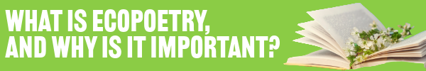 What is ecopoetry and how does it support climate change education